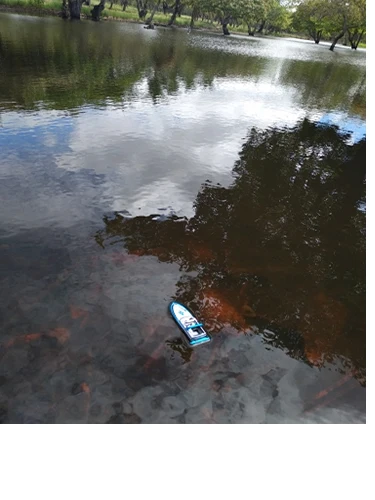 новинка радиоуправляемая л