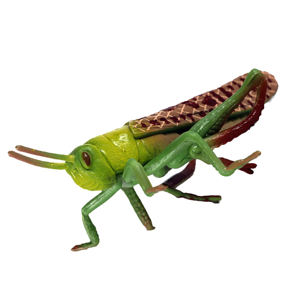 

1pc Artificial Grasshopper Model Lifelike Grasshopper Figurine Kids Insect