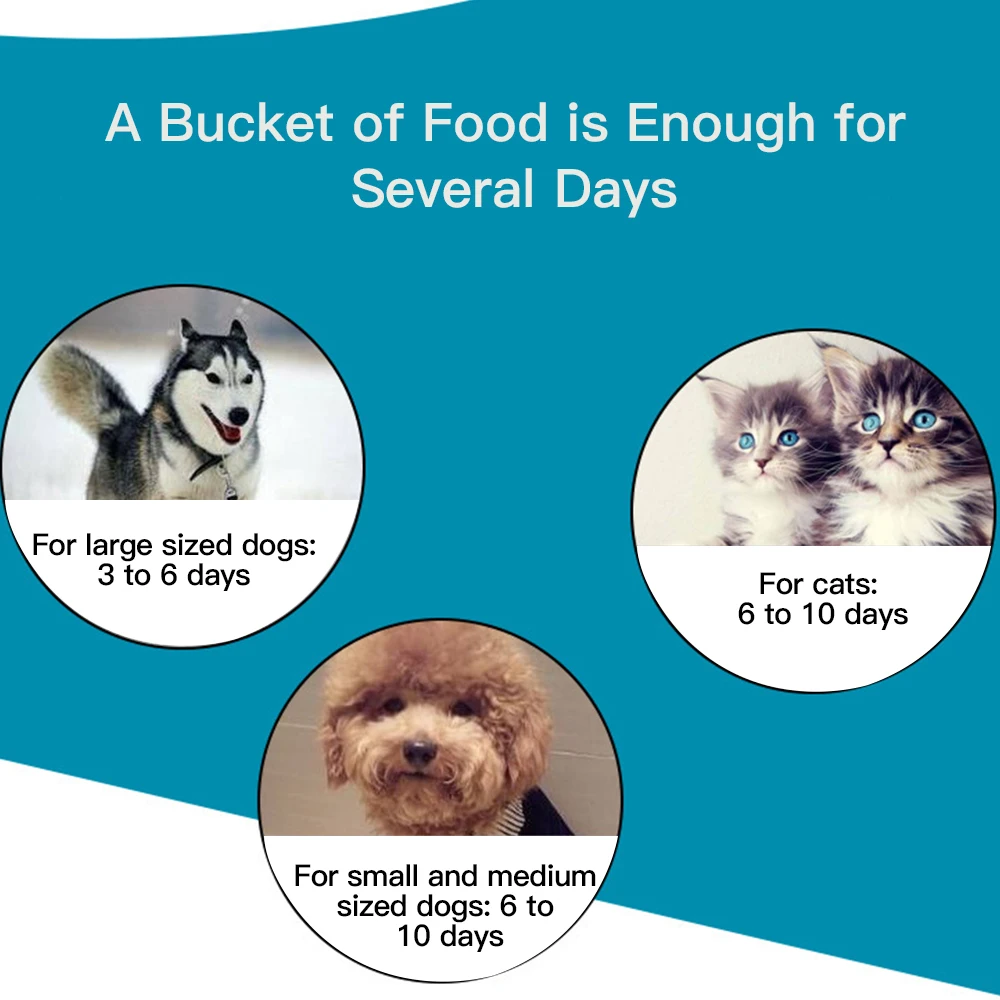 3.8L автоматическая бутылка с водой для домашних животных Еда диспенсер кормушка