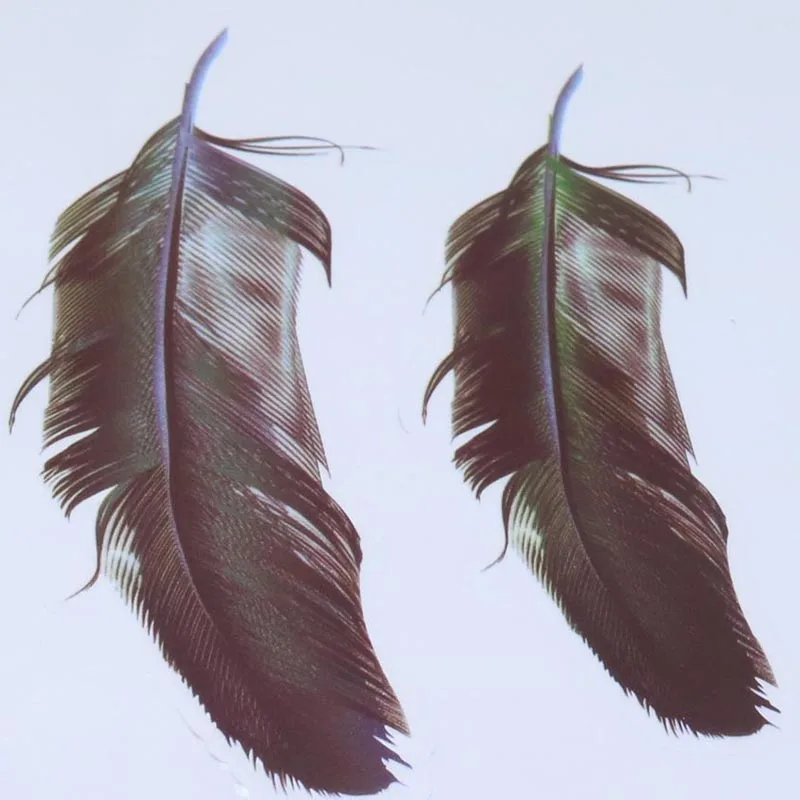 4 шт. прозрачные пластиковые перья для защиты от солнца|Наклейки на автомобиль| |