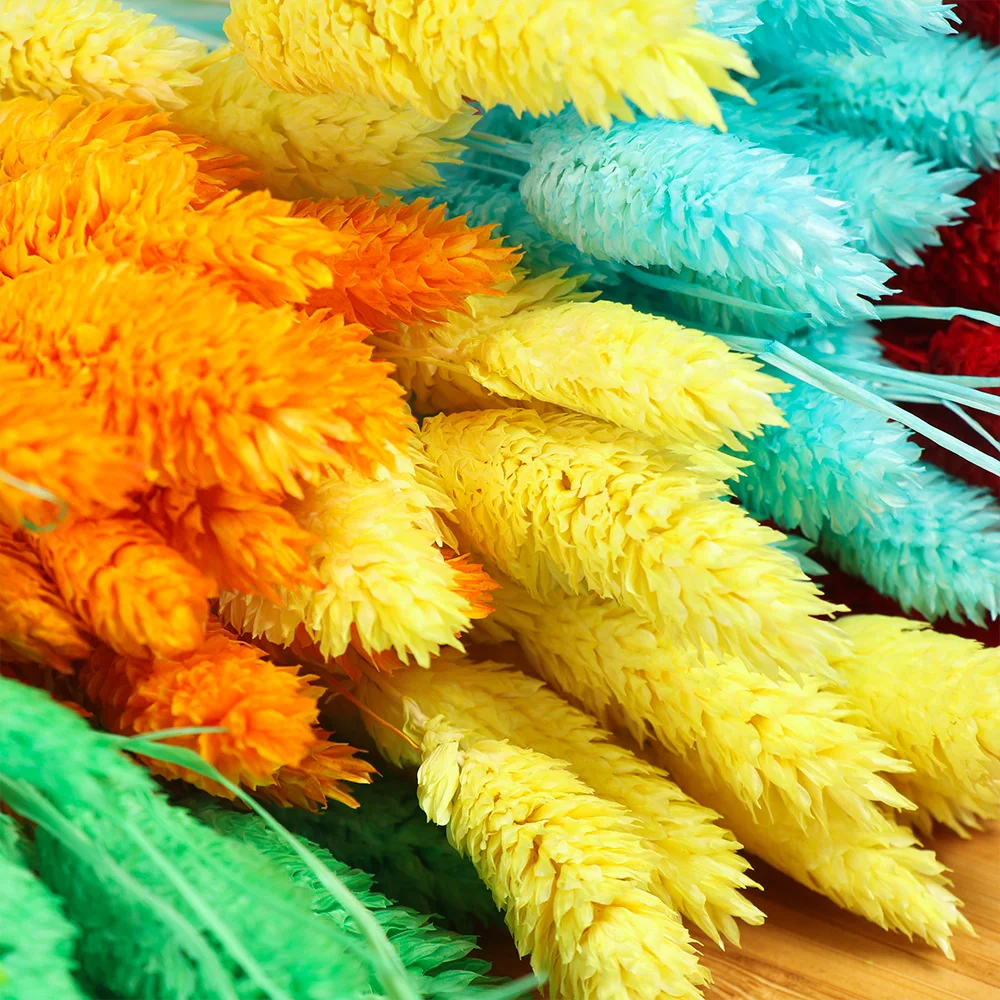 20 шт. натуральные высушенные цветы с градиентом для свадьбы пасхального кролика