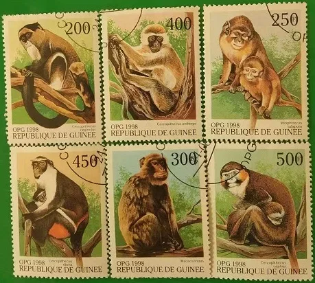 

6 шт./лот, 1998, почтовые штампы Гвинеи, китайские штампы с обезьянами, штампы с животными, используемые с почтовым знаком, настоящий оригинал, к...