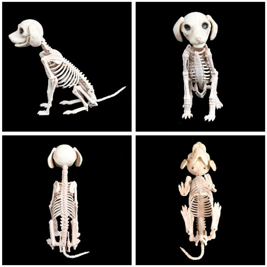 Halloween Skeleton Dog Prop Animal Bones Party Shop Decoration Horror Skull Props | Дом и сад