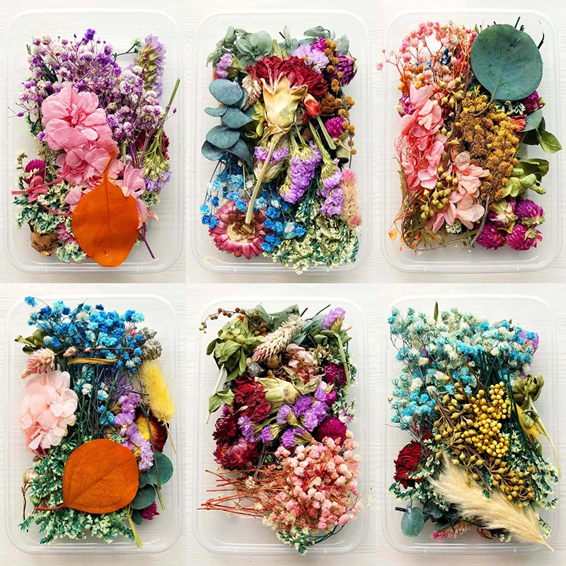 

Real Dried Flowers Plants Pressed For Resin Jewellery Making Craft DIY Accessory