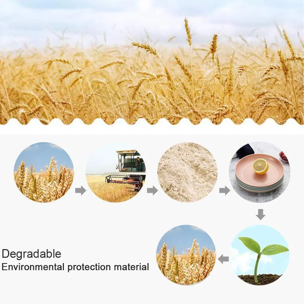 

4Pcs Eco-Friendly Biodegradable Unbreakable Dinner Plates Set Wheat Straw Restaurant Specialty Saucer Plastic For Picnic Dishes