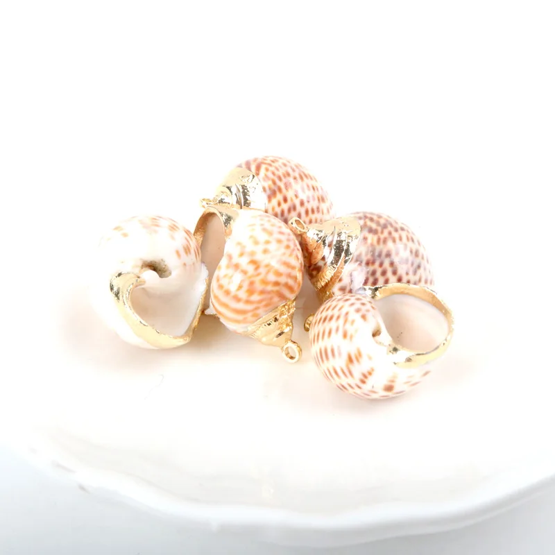 5 шт. декоративные ракушки для аквариума пляжа | Дом и сад