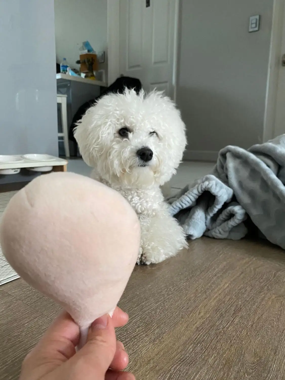 Горячая Распродажа котенок домашних животных жевательные игрушки собака для