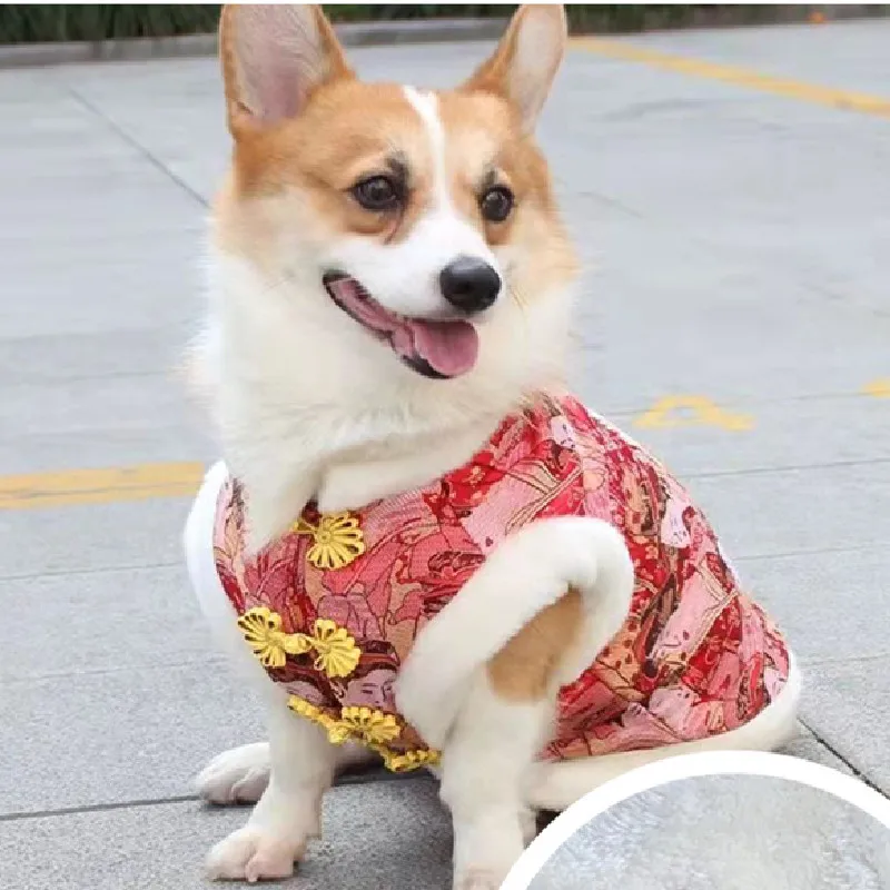 

Китайская Новогодняя одежда для собак, костюм Тан, Ципао, зимняя одежда для кошек и собак, пальто для щенков, наряд, одежда Вечерние, костюм д...