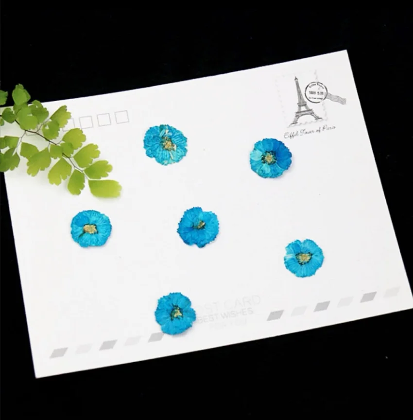 120 шт. цветы Маргаритки для сухих растений эпоксидной смолы подвеска ожерелье