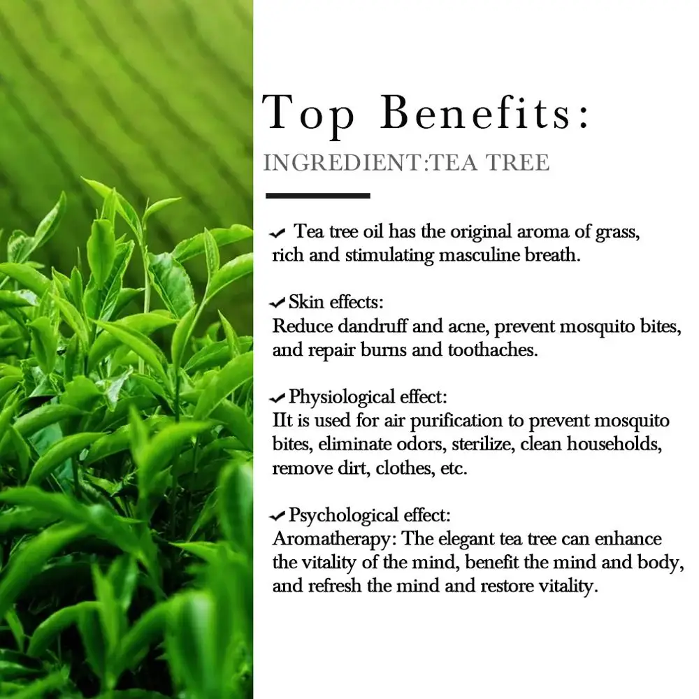 Pure Organic Tree Tea Essential Oils Moisturizing Massage Oil Control Fade Acne Scar Removal Cystic Treatment Blackhead Pore | Красота и