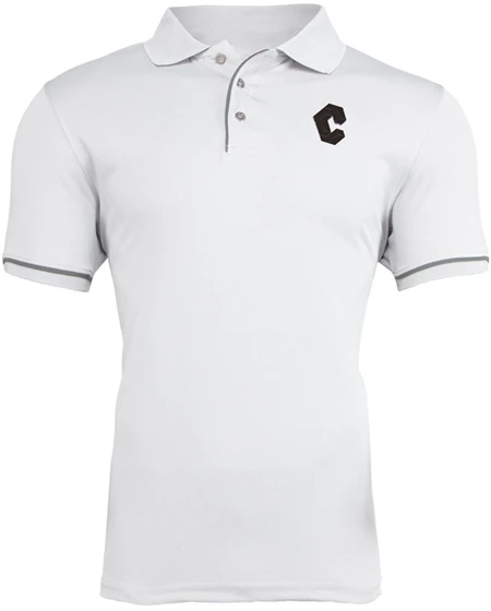 white logo Бренд Camisa masculina мужские рубашки поло быстросохнущие с коротким рукавом мужские рубашки поло спортивные майки Golftennis размер плюс Мужской топы - Цвет: white logo