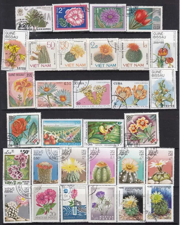 25 шт. случайные цветы все отличаются во многих странах не повторяют