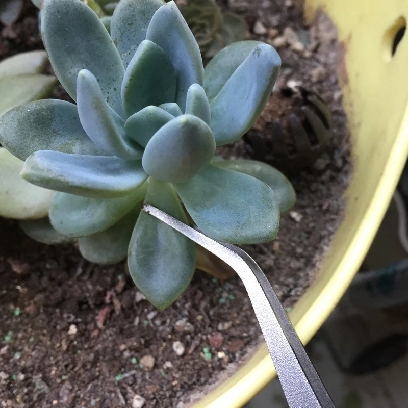

2 in 1 Stainless Steel Bonsai Gardening Tools Root Rake Spatula Tweezers Garden