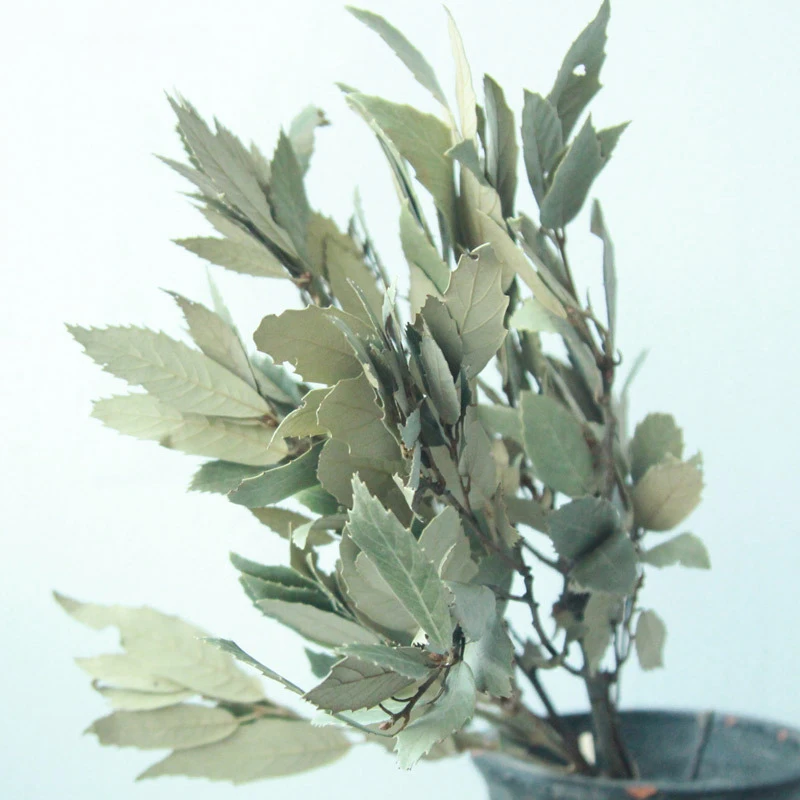 

Листья в вазе, искусственные, 3-5 шт./50 шт.