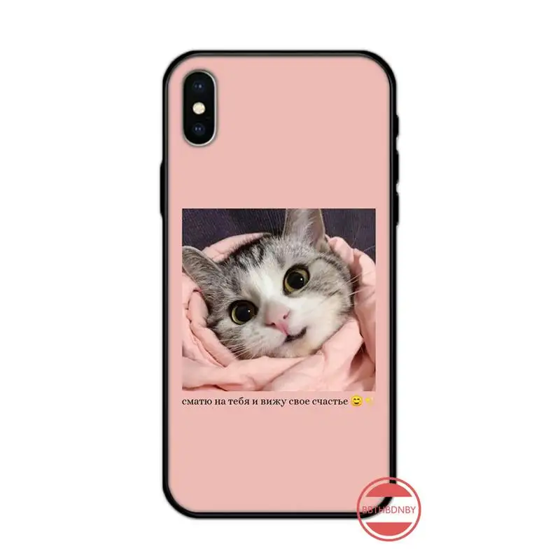 

Aesthetic cute cat animal Phone Case for iPhone 11 12 mini pro XS MAX 8 7 6 6S Plus X 5S SE 2020 XR