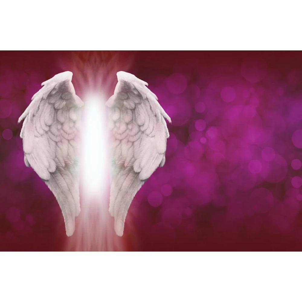 Виниловый фон для студийной фотосъемки с крыльями ангелом принцессой малышом