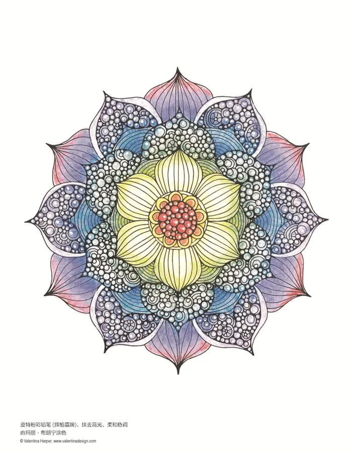 

Mandalas Fantasy Creative Coloring Book For Adult Relieve Stress Painting Drawing Books