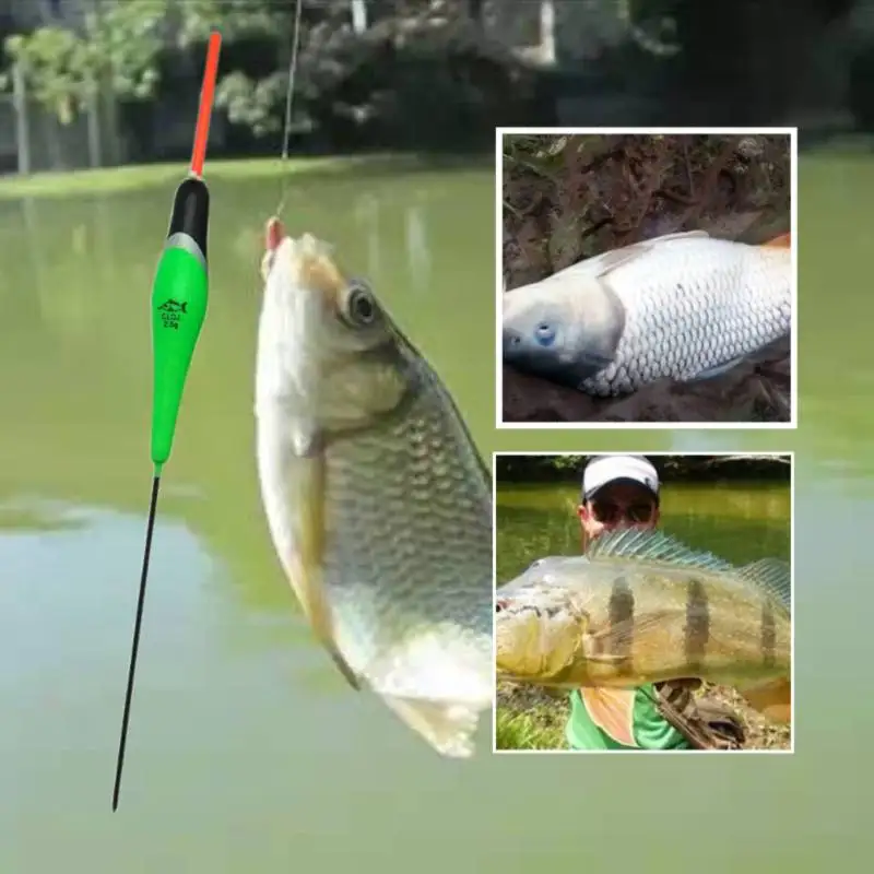 

OLOEY 2.5g/PCS Eva Stopper Angelnbobbers Types Electric Foam Floating Bateau De Pesca Floats Glowing Fishing Float Light Float