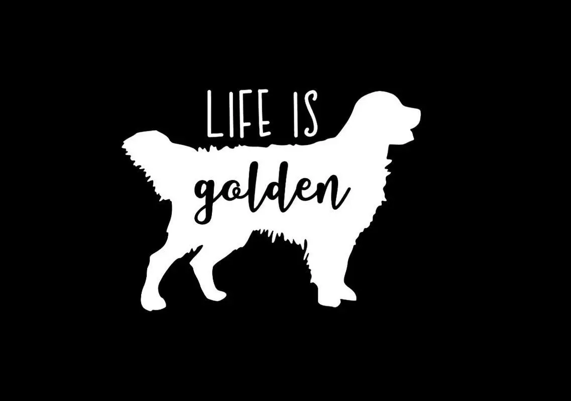

Makarios Life Is Golden Dog Retriever Decal Vinyl Sticker Cars Trucks Vans Walls Laptop White Black Custom Printing Stickers