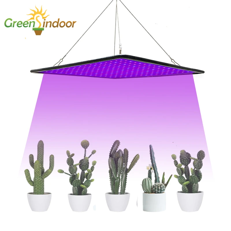 Гроу тент Фито лампа 1000W светодиодный светильник лампы для растений в помещении