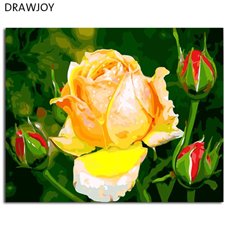 DRAWJOY цветы в рамке DIY живопись по номерам настенная Холст Картина маслом домашний