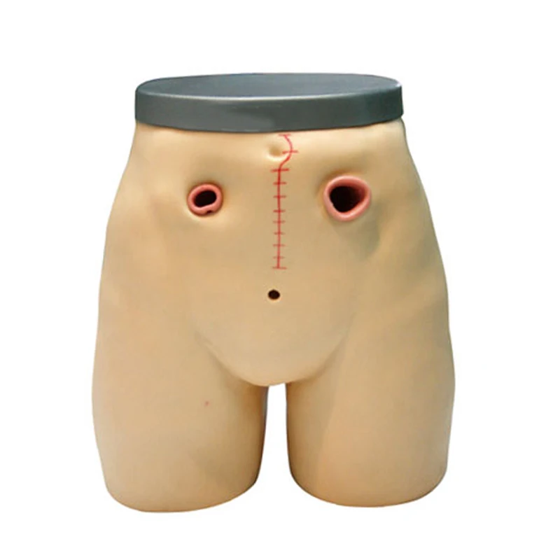 Клинический медицинский обучающий симулятор для ухода за фистулой|model swan|modeling