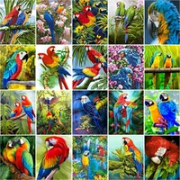 gatyztory diy oil painting by numbers birds picture artcraft on canvas 40x50cm coloring by numbers animal kits home decoration