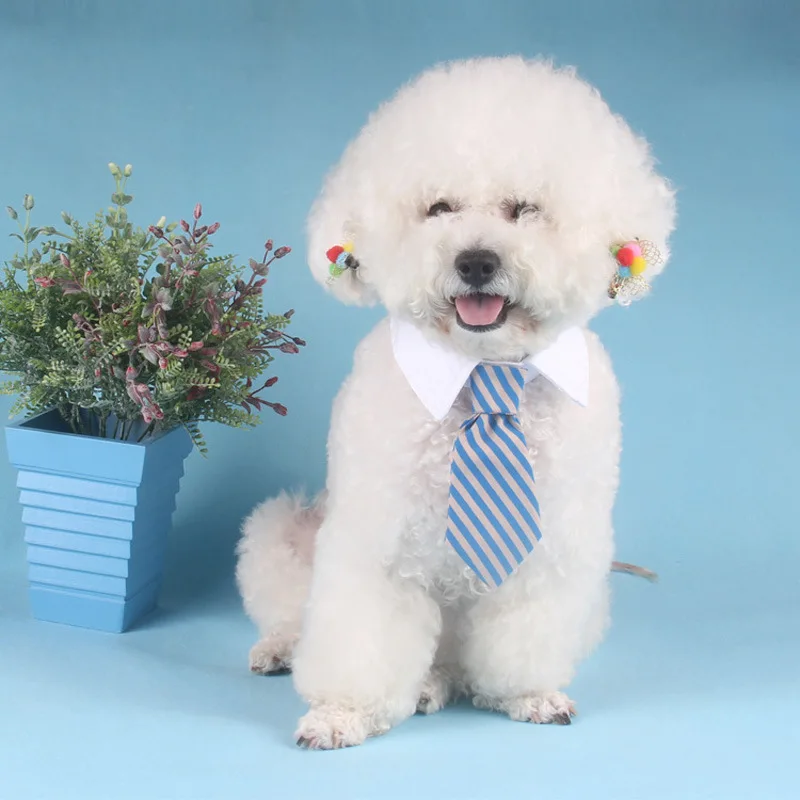 Snailhouse Собака Кошка Полосатый галстук-бабочка животное Регулируемый шейный