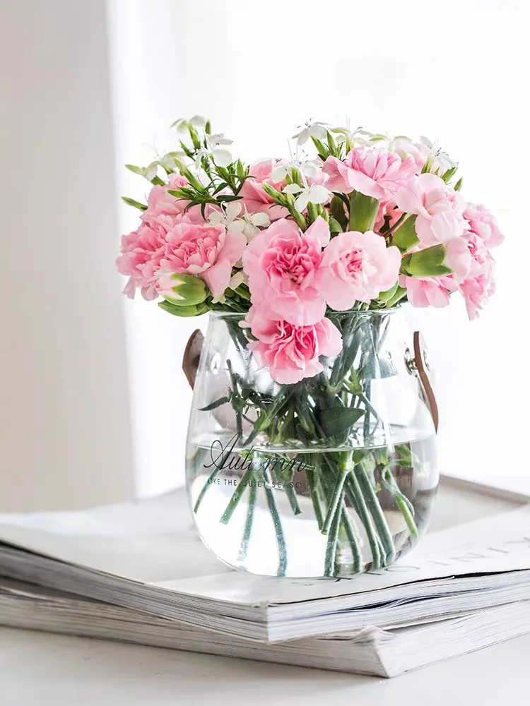 Портативная стеклянная ваза креативная банка для хранения украшение гостиной