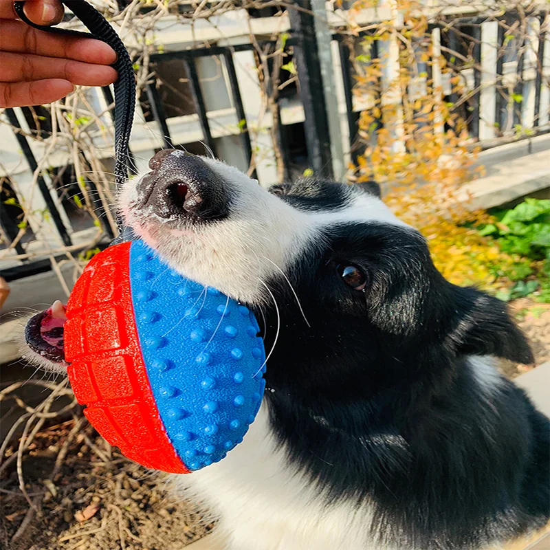 Игрушки для домашних животных голосовые и укусы интерактивные игрушки лабрадоры