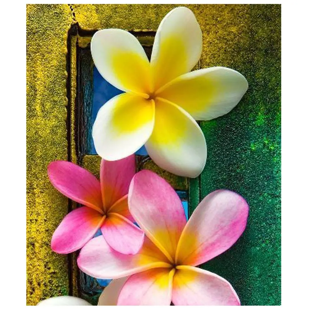 Новое поступление алмазная живопись франжипан полный круглый цветок комплект