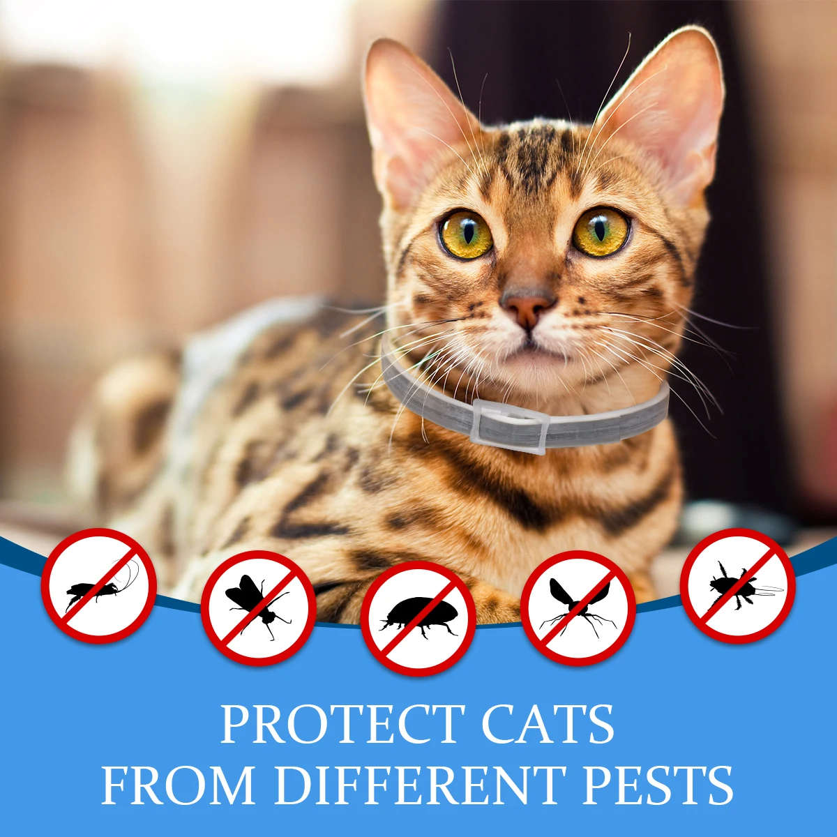 2 упаковки блох и воротник для кошек Регулируемый | Дом сад