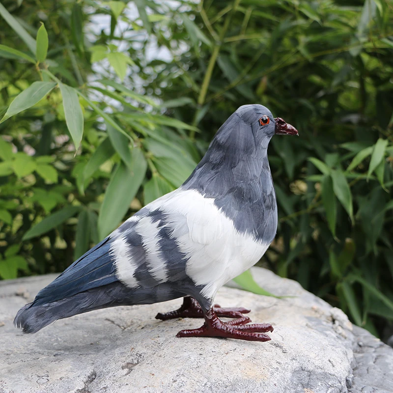 Имитация пера модель голубей искусственная имитация реалистичное животное