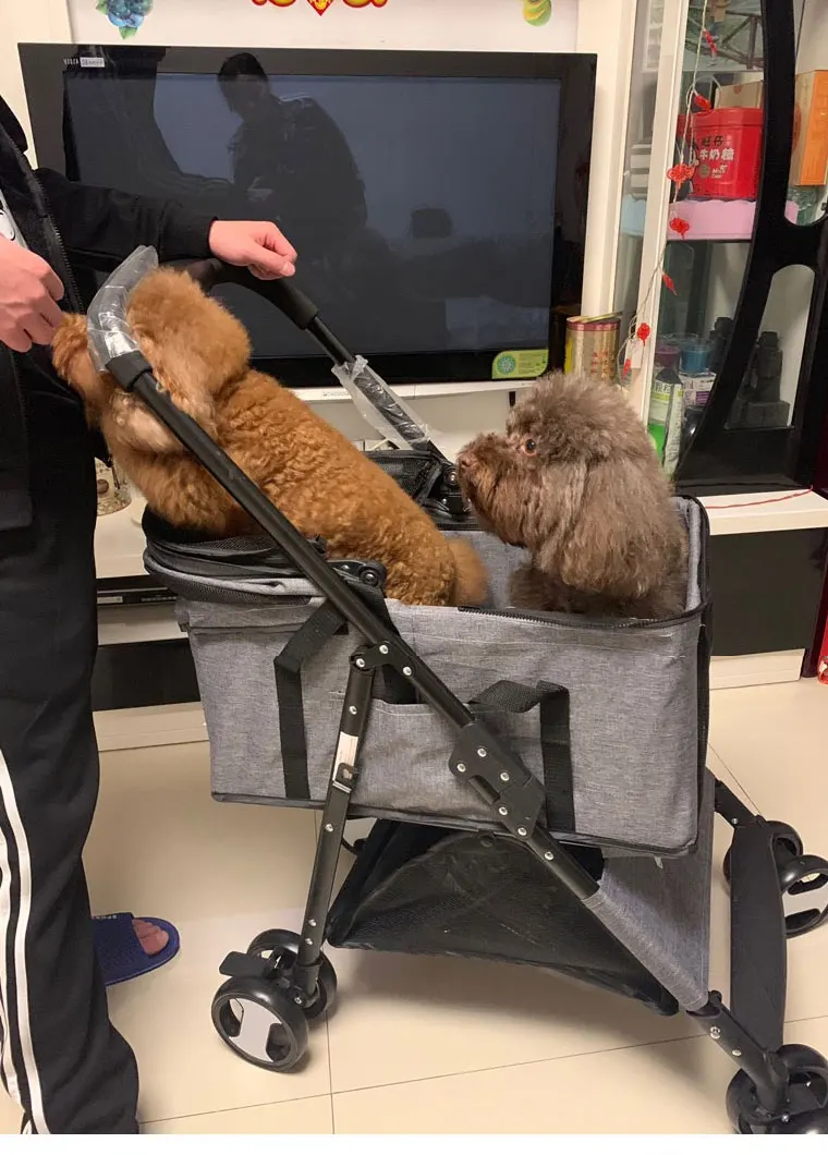 

Dog Cart Pet Four-wheeled Large Space Cat-dog Foldable Travel Supplies Double Kennel Cat Carrier