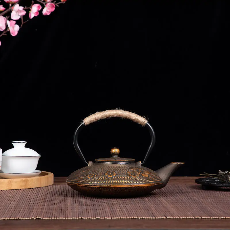 Чугунный чайник с чайной сеткой кипящая вода для кипячения японское мастерство
