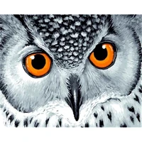 owl pianting by numbers animal oil pictures handpainted diy kits 40x50cm frame canvas coloring drawing by numbers decortion art