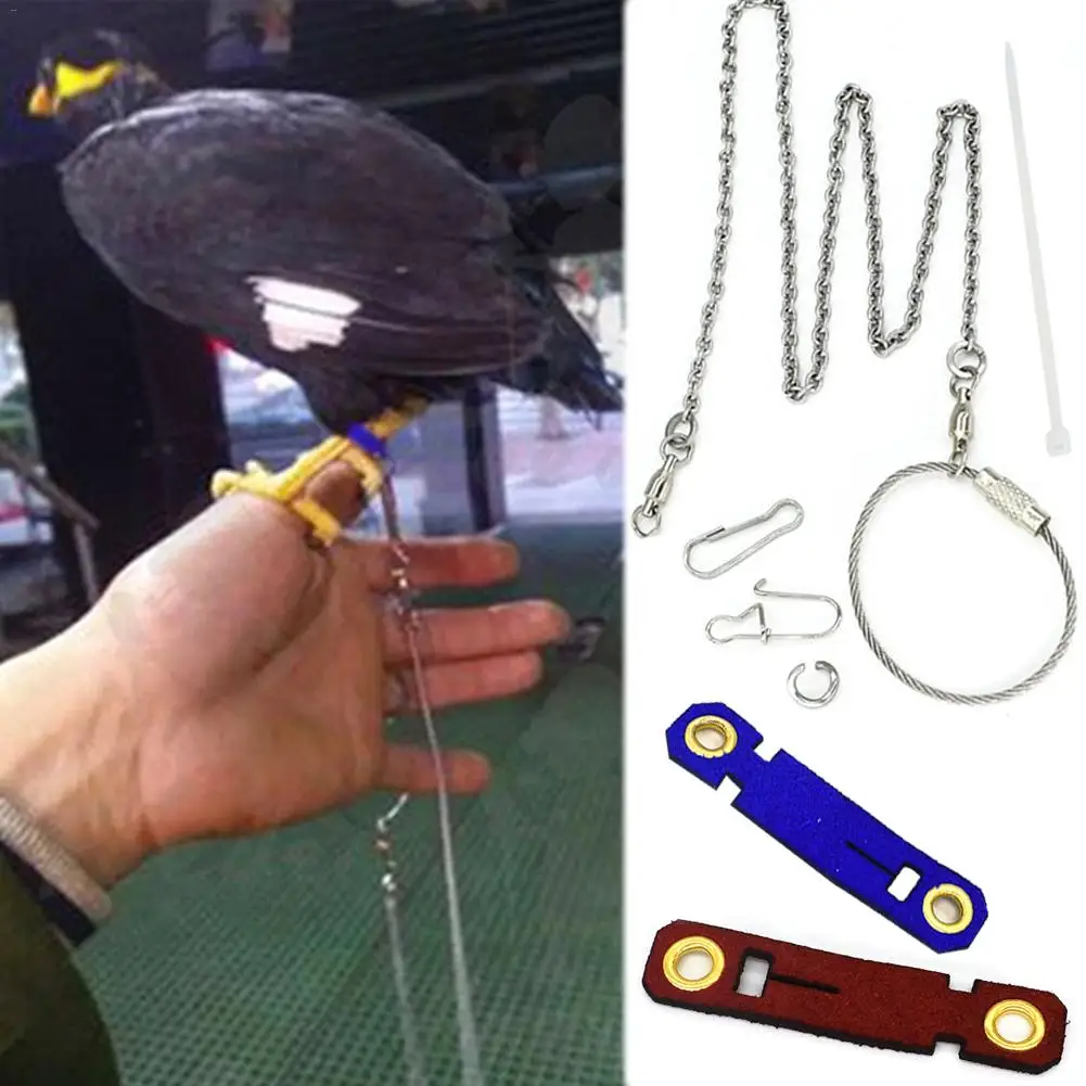 5 размеров 2 цвета Pet Parrot Leg Ring цепочка на лодыжку птица кольцо открытый Летающий обучение открытие активности нашест для птиц аксессуары
