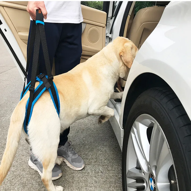 

Pet Leg Harness Walking Support Dog Leg Waist Belt Hind Leg Injury And Disabled Elderly Dog Auxiliary Leash