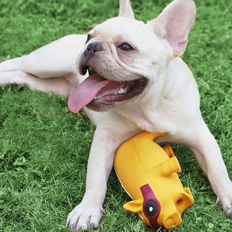 

Youpin Pet Sound Toy Fun Vocal Joyful Interaction No Deformation Smooth Surface Easy To Clean