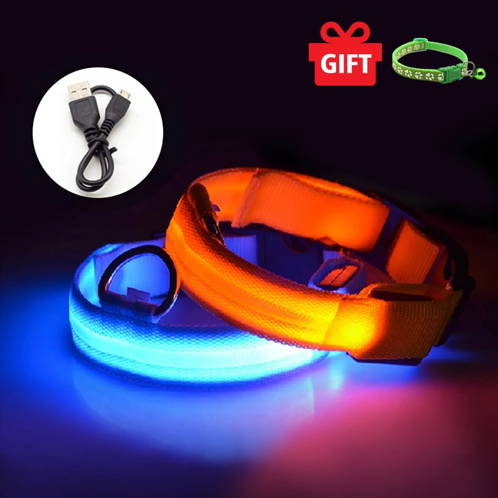 Ошейник для собак со светодиодной подсветкой и USB зарядкой|Воротники| |