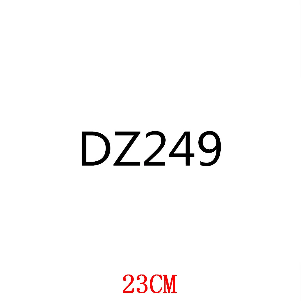 

DZ249-23