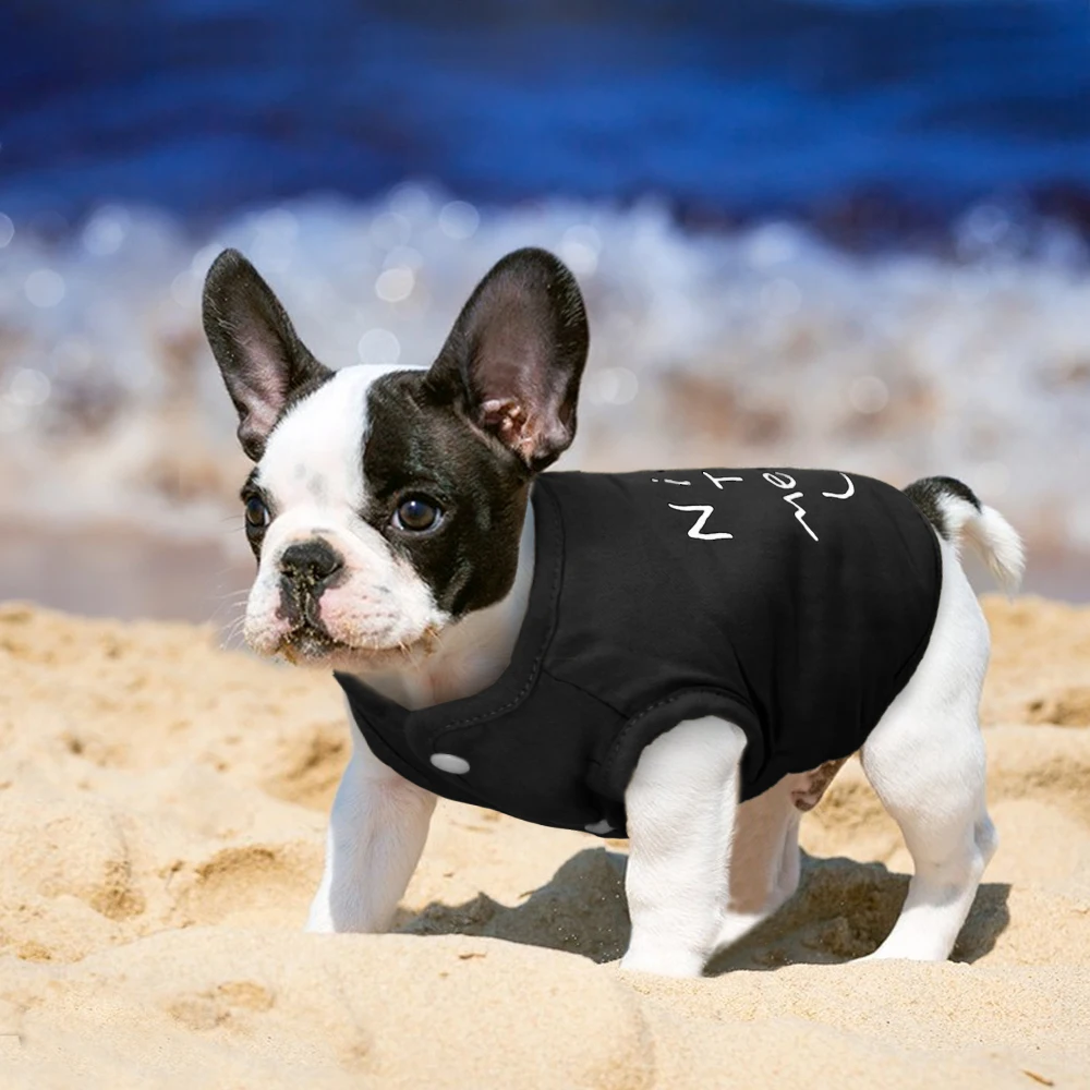 Женский жилет зимняя одежда для чихуахуа французская версия пальто щенка наряд