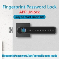 smart app control door lock biometric fingerprint password lever handle lock electronic locks for home office bedroom with keys