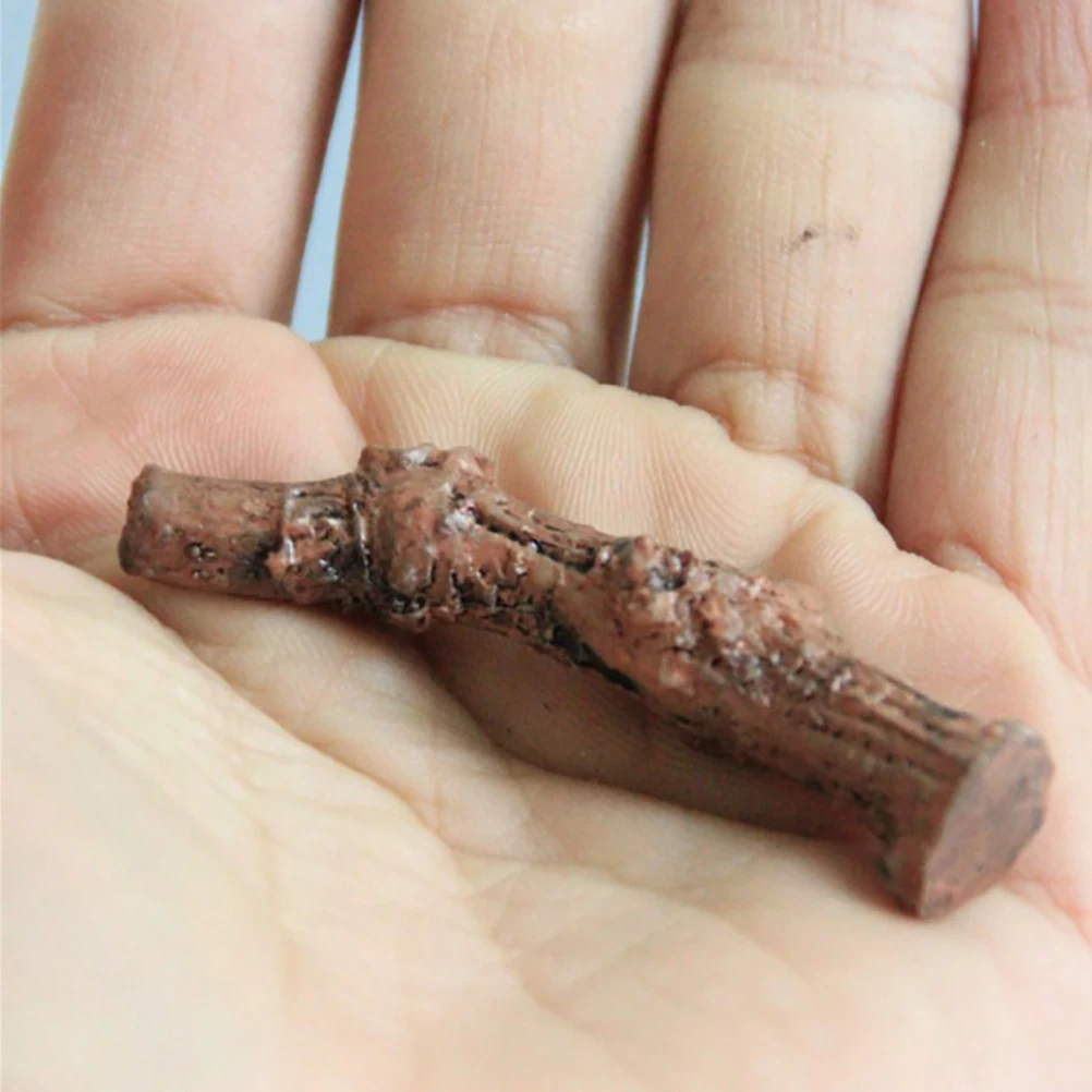 Суккуленты микро ландшафтное украшение сделай сам Террариум аксессуары сухие |