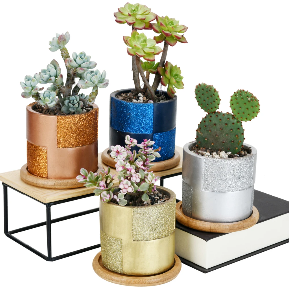 Блестящие поверхности зернистость цементные горшки с бамбуковым подносом серый