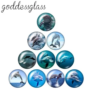 Новые Симпатичные Дельфин друзей морским обитателям, 10 шт, Смешанные 12 мм18 мм20 мм25 мм кабошоны круглые фото стекло кабошон демо с плоской задней частью, украшения своими руками