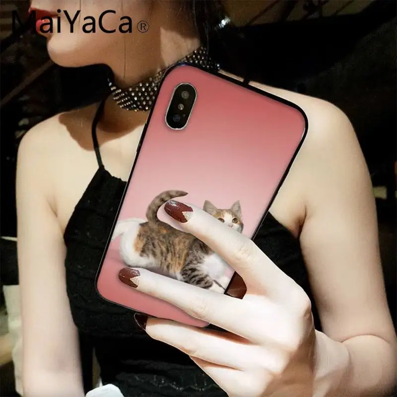 

MaiYaCa Cute Yoga cat Customer Phone Case for iPhone 12 8 7 6 6S Plus X XS MAX 5 5S SE XR 11 12 pro promax