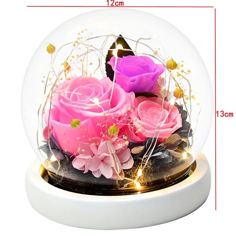 

ROSE SPACE Real flower Red Rose Dried flower For Girlfriend Mother's Gift Home Decoration Room Decor Rose in Glass Gifts