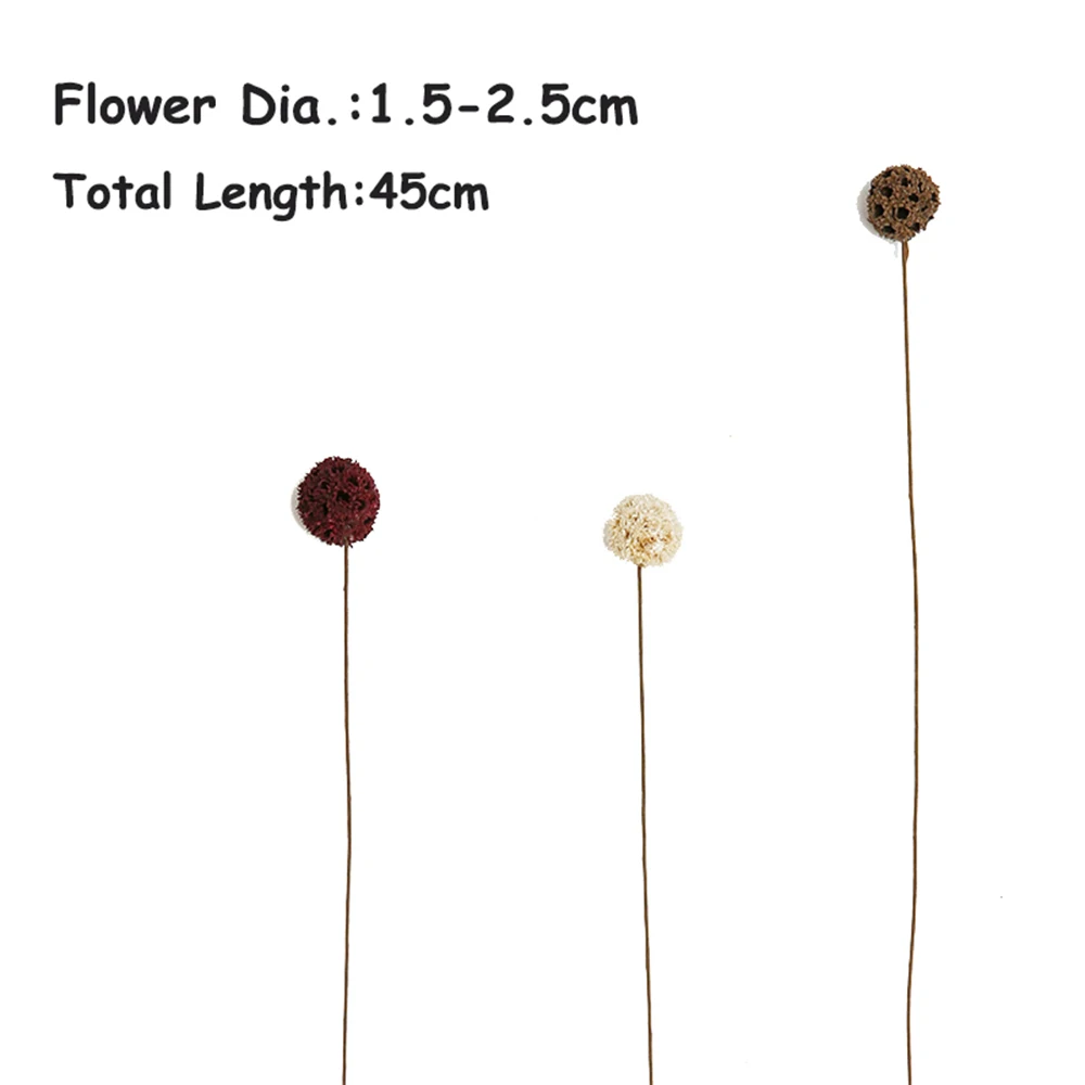 5 шт./лот Натуральные сушеные цветы сосновые шишки свадебные украшения орнамент