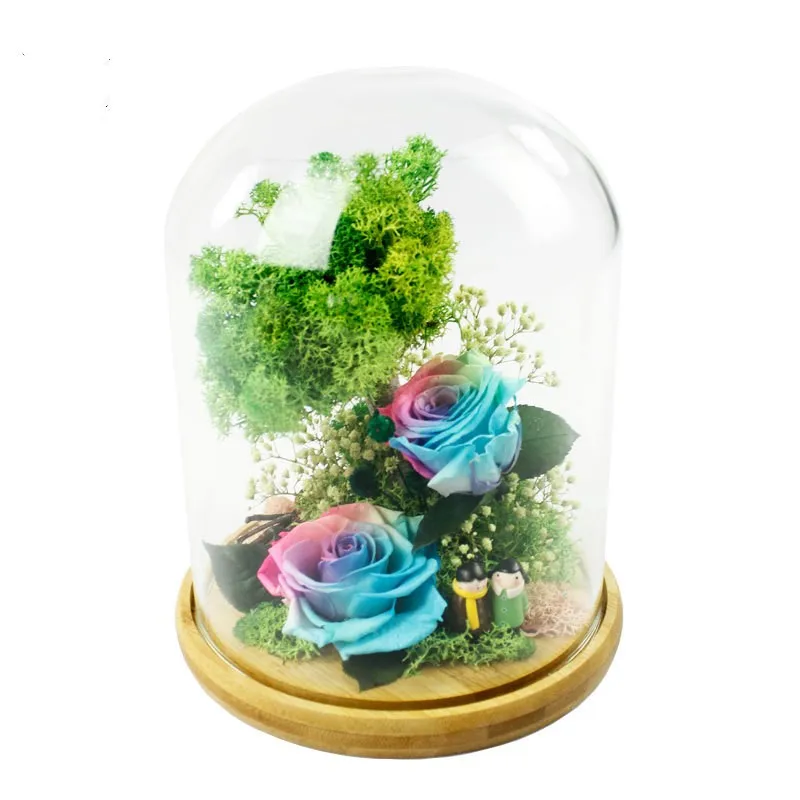 

Eternal Preserved Fresh Flower Lovely Santa Claus Molding Immortal Rose Valentine's Mother's Day Christmas Birthday Gifts